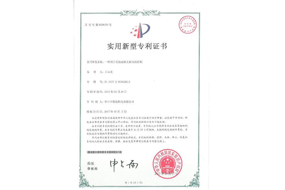 实用新型专利ZL201720318246.2(电机)